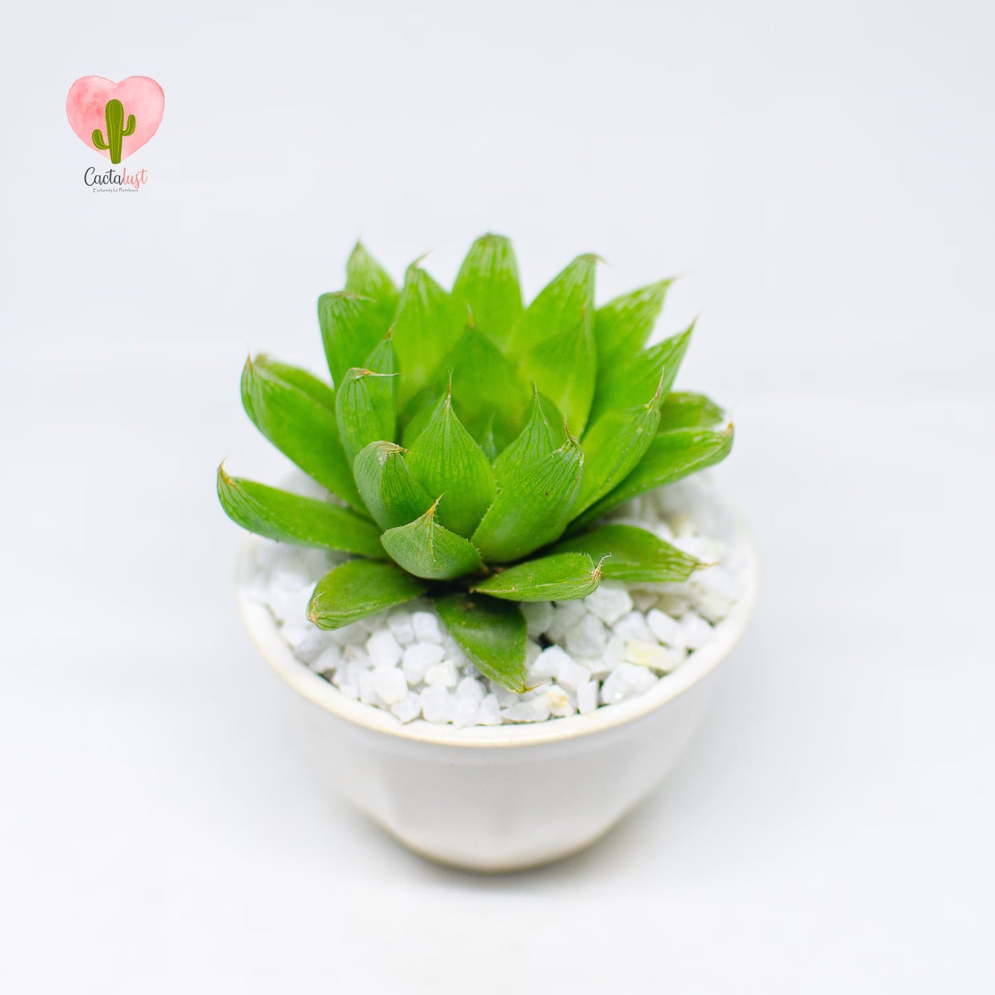 HW0011-PW-S _MNS6453-11