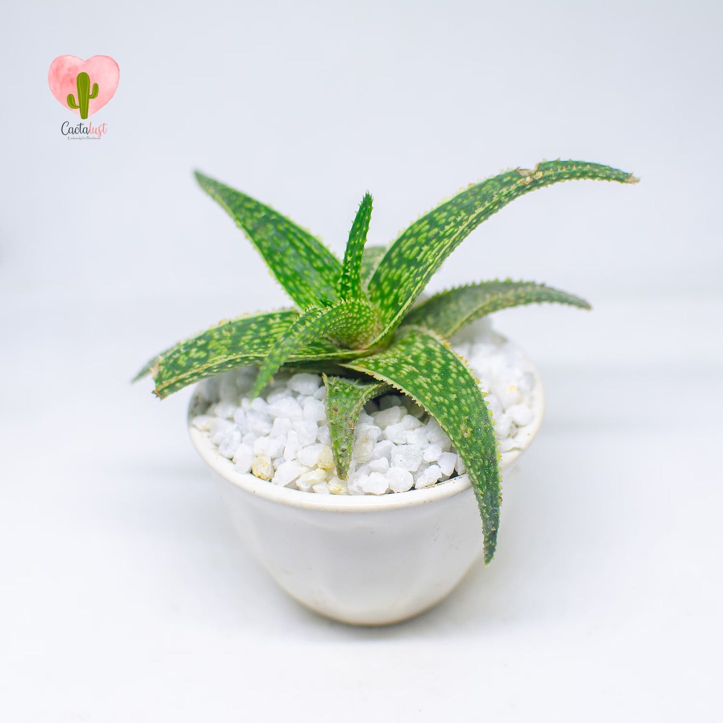 AL0005-PW-S _MNS6427-13