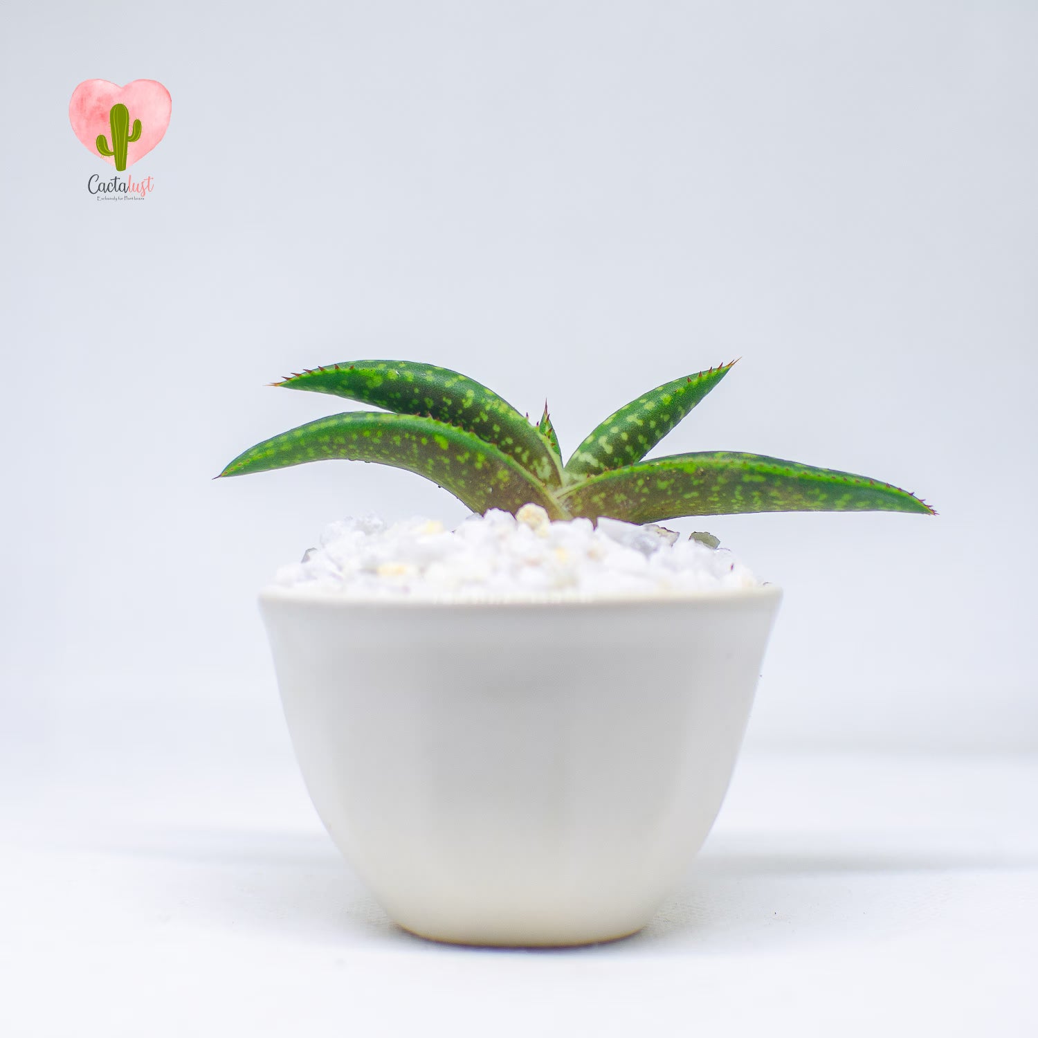AL0007-PW-S _MNS6416-6