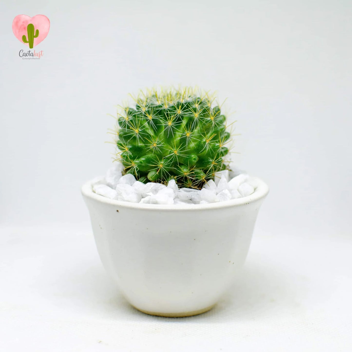 CT0047-PW-M _MNS5144