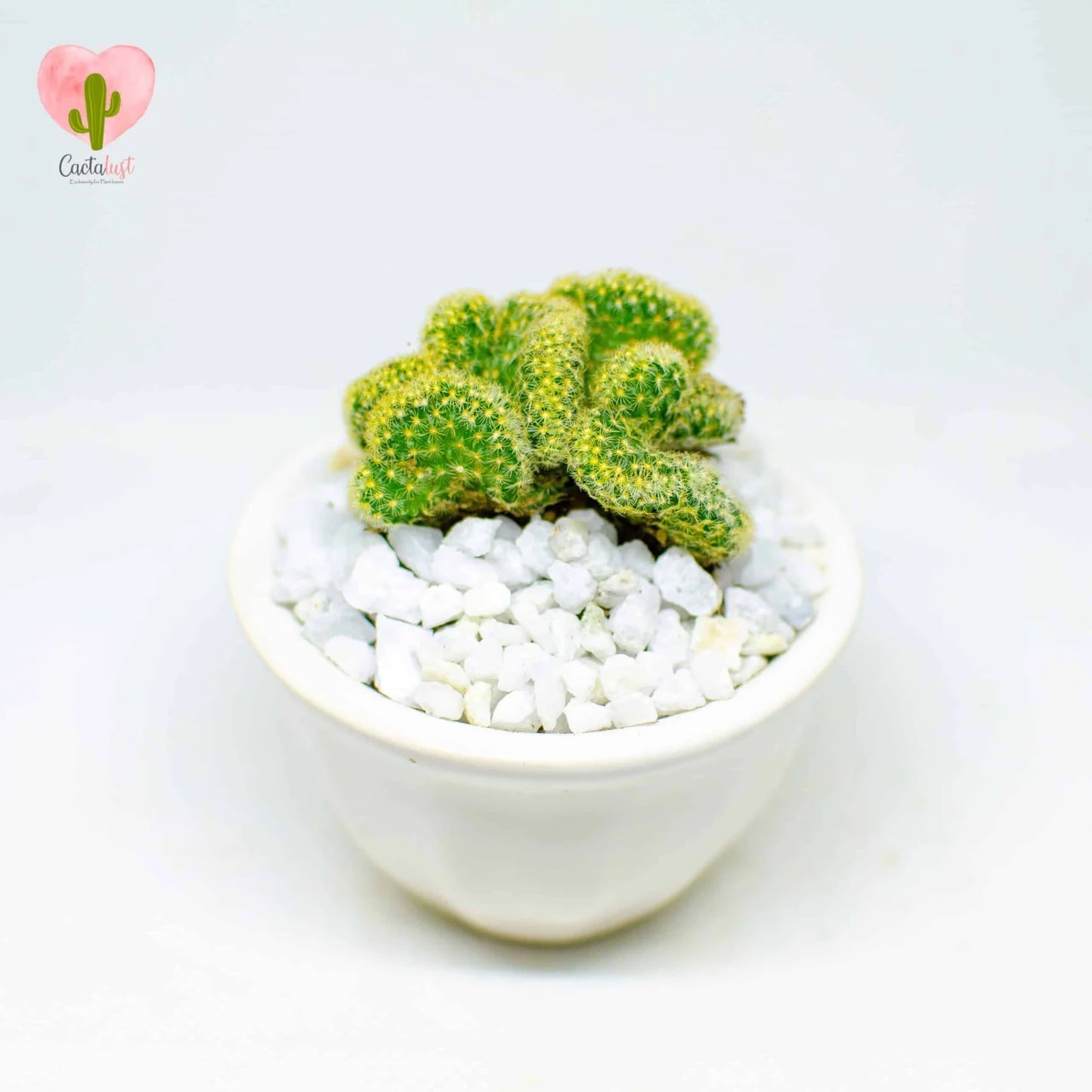 CT0049-PW-M _MNS5190