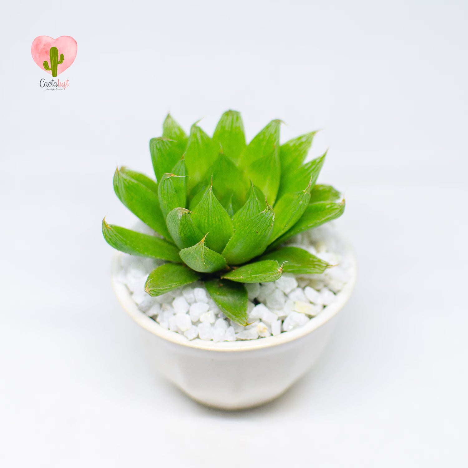HW0011-PW-S _MNS6453-11